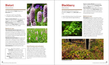 Load image into Gallery viewer, The Herbal Apothecary By JJ Pursell