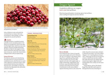 Load image into Gallery viewer, Pacific Northwest Medicinal Plants