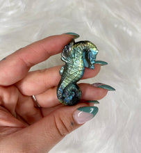 Load image into Gallery viewer, Labradorite Carved Seahorse