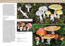 Load image into Gallery viewer, Mushrooms of the Pacific Northwest, Revised Edition by Steve Trudell