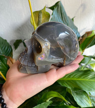 Load image into Gallery viewer, Druzy Agate Skull - Large