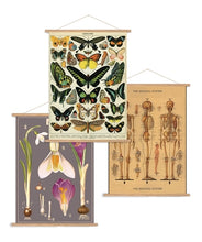 Load image into Gallery viewer, Vintage poster FRAME kit