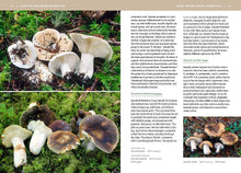 Load image into Gallery viewer, Mushrooms of the Pacific Northwest, Revised Edition by Steve Trudell