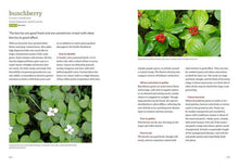 Load image into Gallery viewer, Pacific Northwest Foraging - Douglas Deur