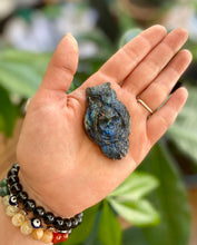 Load image into Gallery viewer, Labradorite Owl holding Skull Carving