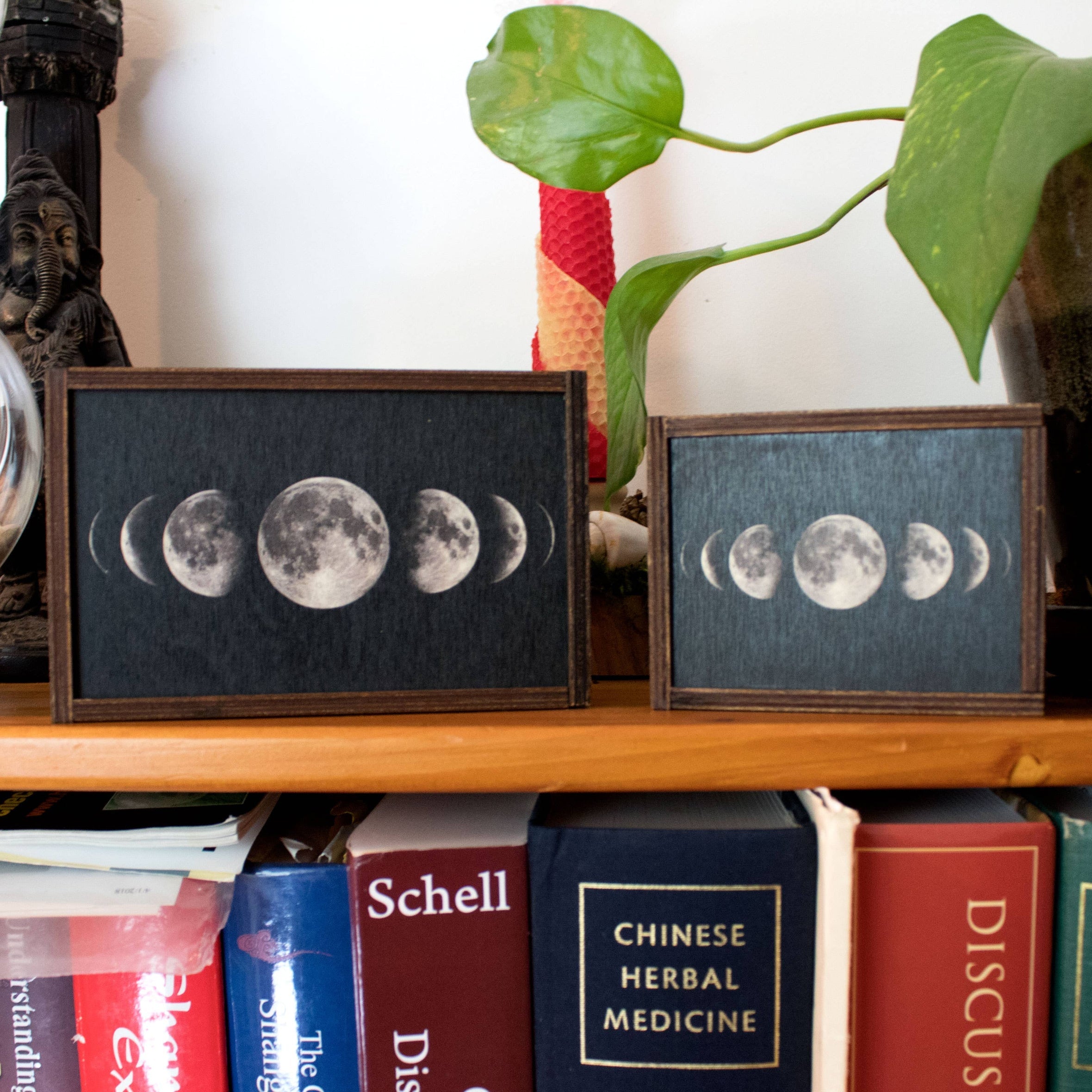 Moon Phases Full Color Tarot Card/Stash Box – The Cosmic Exchange