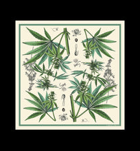 Load image into Gallery viewer, 100% Silk Scarf Botanical Marijuana Cannabis Bandana 17x17
