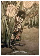 Load image into Gallery viewer, Fairy Oracle