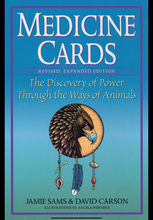 Load image into Gallery viewer, Medicine Cards Deck/Book Set