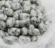 Load image into Gallery viewer, Kiwi Jasper - Tumbles