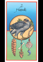 Load image into Gallery viewer, Medicine Cards Deck/Book Set