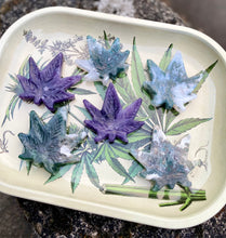 Load image into Gallery viewer, Canna Crystal