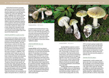 Load image into Gallery viewer, Mushrooms of the Pacific Northwest, Revised Edition by Steve Trudell