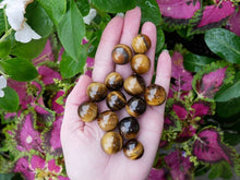 Load image into Gallery viewer, Tigers Eye Mini Spheres