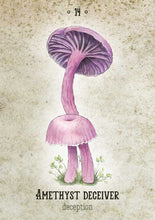 Load image into Gallery viewer, Mushroom Spirit Oracle by Nicola McIntosh
