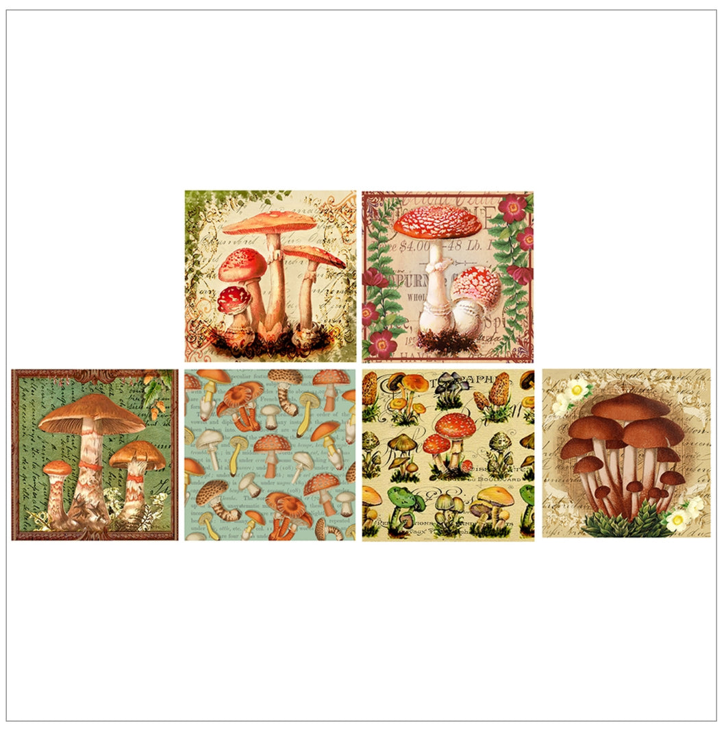 Mushroom Matchboxes