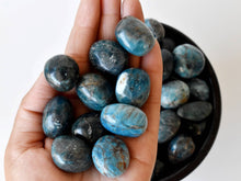 Load image into Gallery viewer, Blue Apatite - Tumbles
