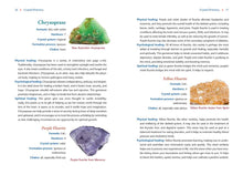 Load image into Gallery viewer, Crystal Basics by Nicholas Pearson
