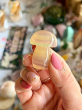 Load image into Gallery viewer, Candy Fluorite Rainbow Mushrooms
