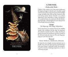 Load image into Gallery viewer, Midnight Magic by Sara Richard
