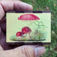 Load image into Gallery viewer, Wooden Matchbox • Agaric Toadstool

