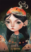 Load image into Gallery viewer, Wisdom of the Wild Things Oracle
