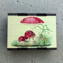 Load image into Gallery viewer, Wooden Matchbox • Agaric Toadstool
