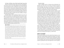 Load image into Gallery viewer, Modern Witchcraft Guide to Magickal Herbs by Judy Ann Nock
