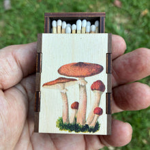 Load image into Gallery viewer, Wooden Matchbox • Mushroom Cluster
