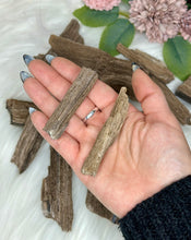 Load image into Gallery viewer, Permineralized Wood Specimens
