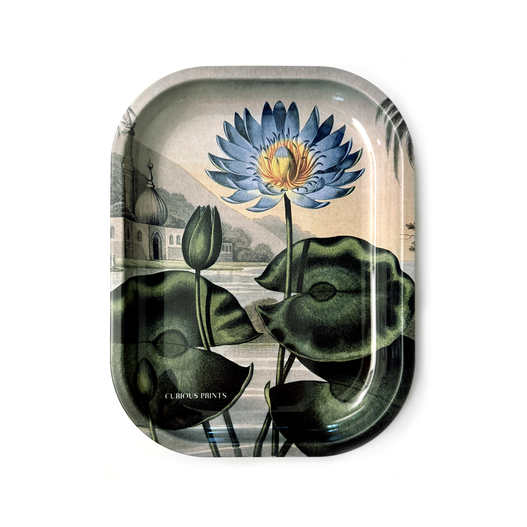 Metal Blue Lotus Water Lily Trinket Tray