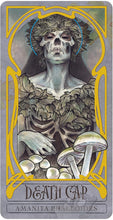 Load image into Gallery viewer, Lady Stirling's Wicked Garden Oracle Deck
