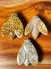 Load image into Gallery viewer, Crystal Bee Carvings
