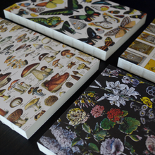 Load image into Gallery viewer, Vintage Tan Mushroom Exposed Coptic Binding Notebook Journal
