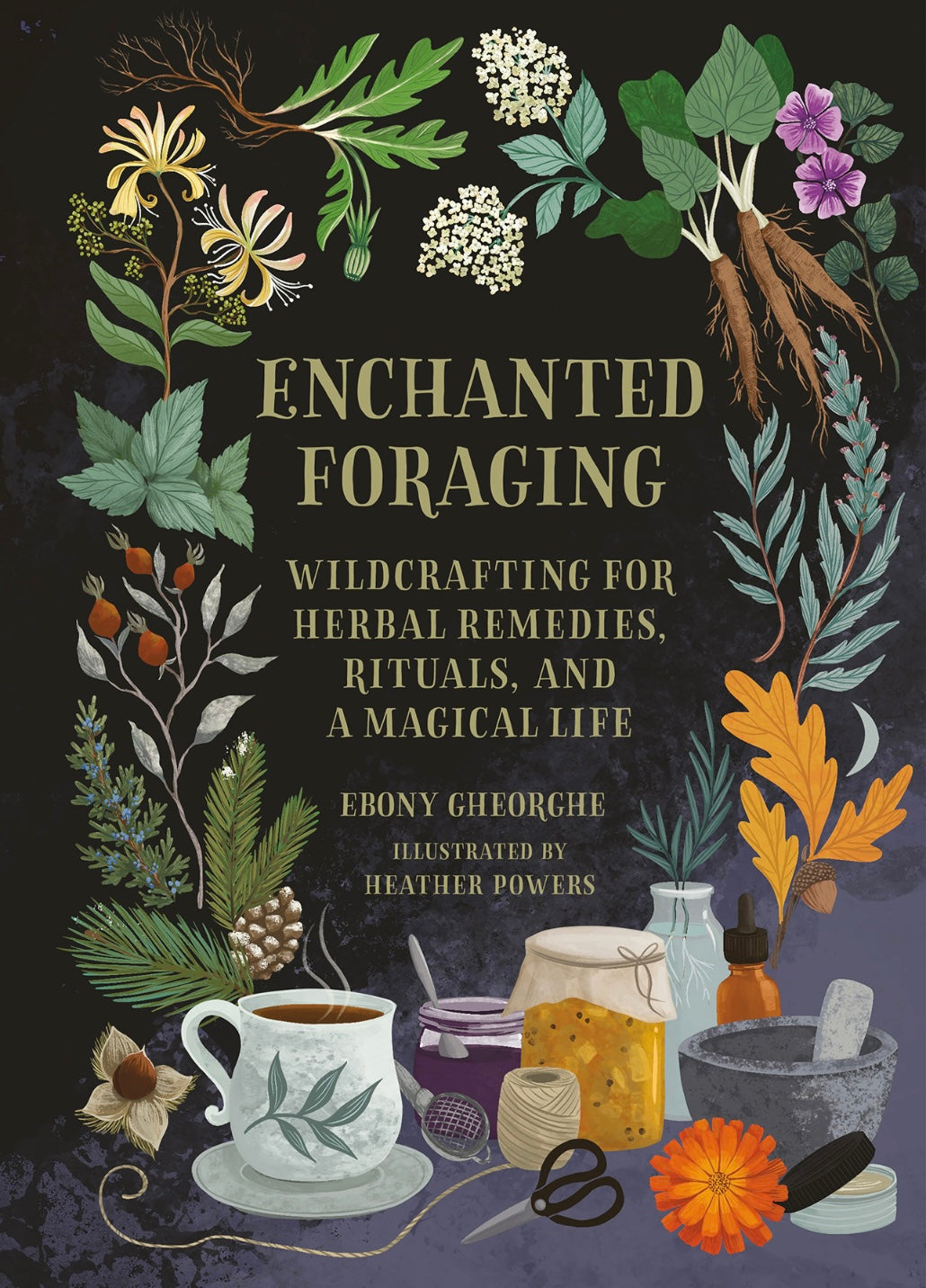 Enchanted Foraging: Wildcrafting for Herbal Remedies, Rituals, and a Magical Life