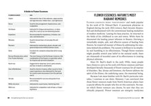 Load image into Gallery viewer, Herbs For Stress &amp; Anxiety
