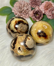 Load image into Gallery viewer, Septarian Spheres
