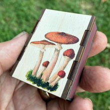 Load image into Gallery viewer, Wooden Matchbox • Mushroom Cluster
