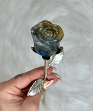 Load image into Gallery viewer, Crystal Roses with Metal Stems🌹
