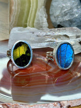 Load image into Gallery viewer, Butterfly/Moth Wing Fine Silver Rings
