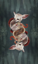 Load image into Gallery viewer, Wisdom of the Wild Things Oracle
