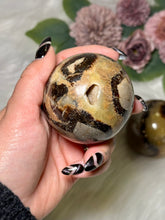 Load image into Gallery viewer, Septarian Spheres
