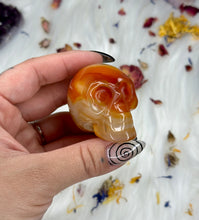 Load image into Gallery viewer, Carnelian Skull - Large
