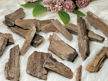 Load image into Gallery viewer, Permineralized Wood Specimens
