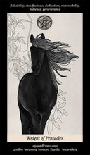 Load image into Gallery viewer, Soul Reflections Tarot
