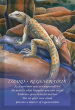 Load image into Gallery viewer, Spirit of the Animals Oracle
