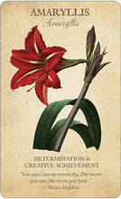 Load image into Gallery viewer, Botanical Inspirations Deck &amp; Book set
