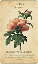 Load image into Gallery viewer, Botanical Inspirations Deck &amp; Book set
