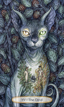 Load image into Gallery viewer, Soul Cats Tarot
