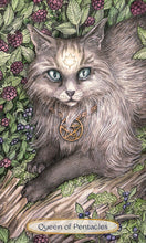Load image into Gallery viewer, Soul Cats Tarot
